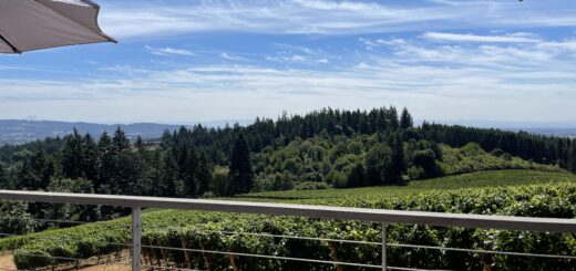 View from Lange winery